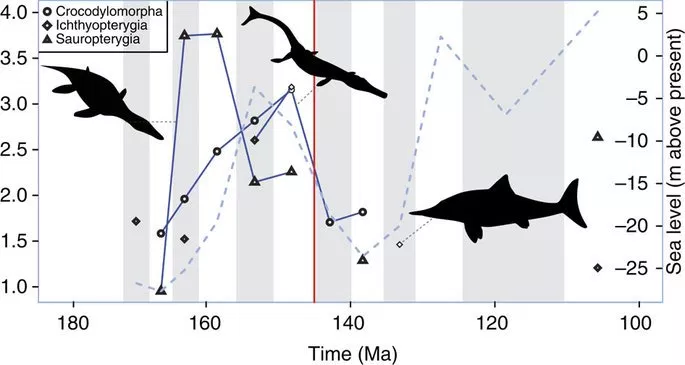 Marine tetrapod diversity and its relationship to sea level