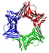 Color-coded image of polypeptide chains