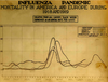 Spanish flu death chart.png